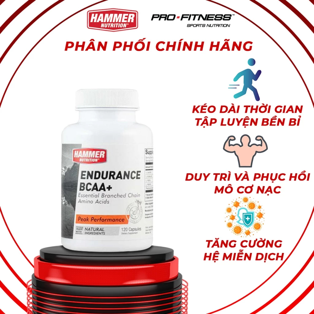 Viên Muối Điện Giải Endurolytes Extreme Hammer Ngăn Ngừa Chuột Rút Hũ 120 Viên Hammer Nutrition