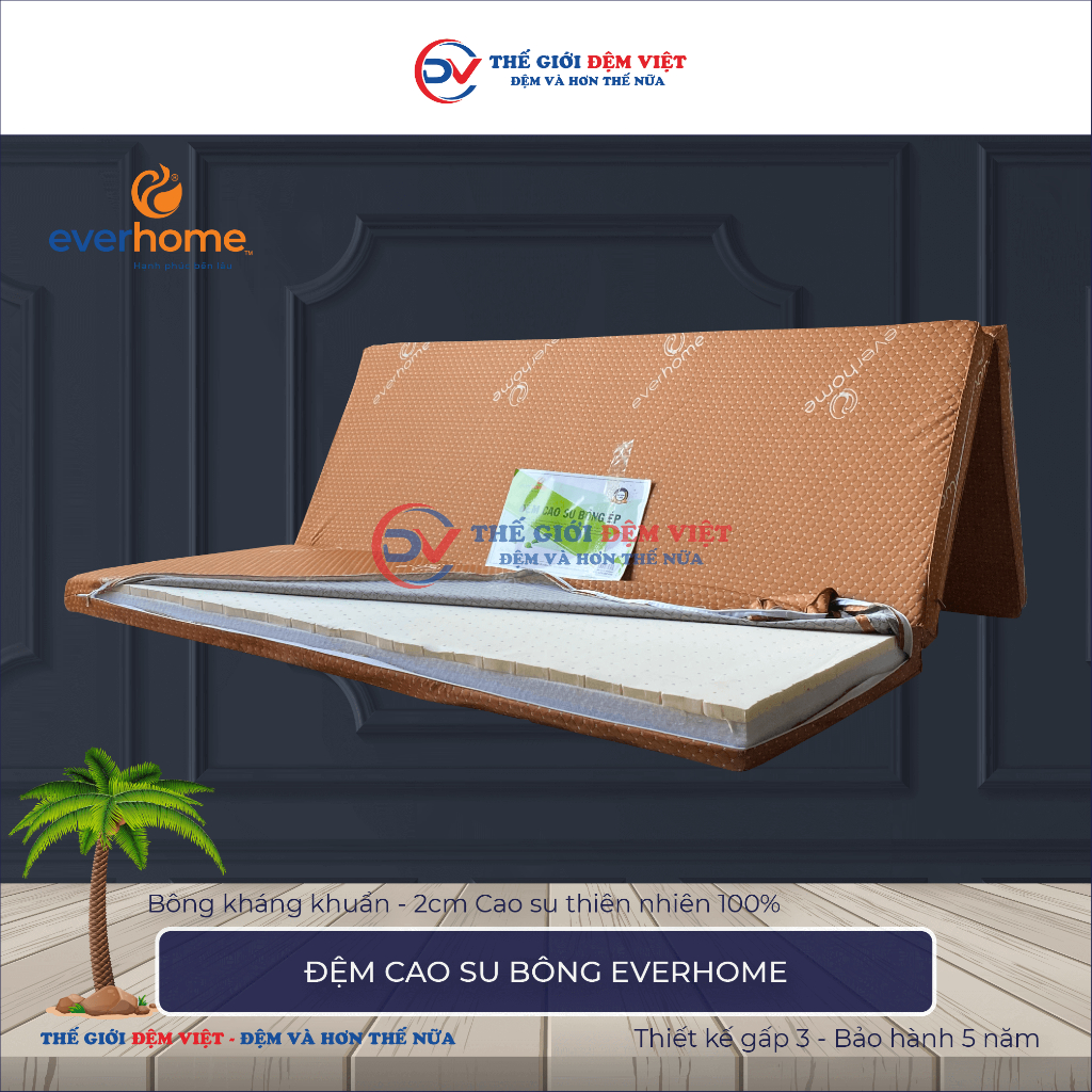 [FREE SHIP ĐIỀU KIỆN] Đệm Cao Su Bông Kháng Khuẩn Everhome - Hàng Chính Hãng