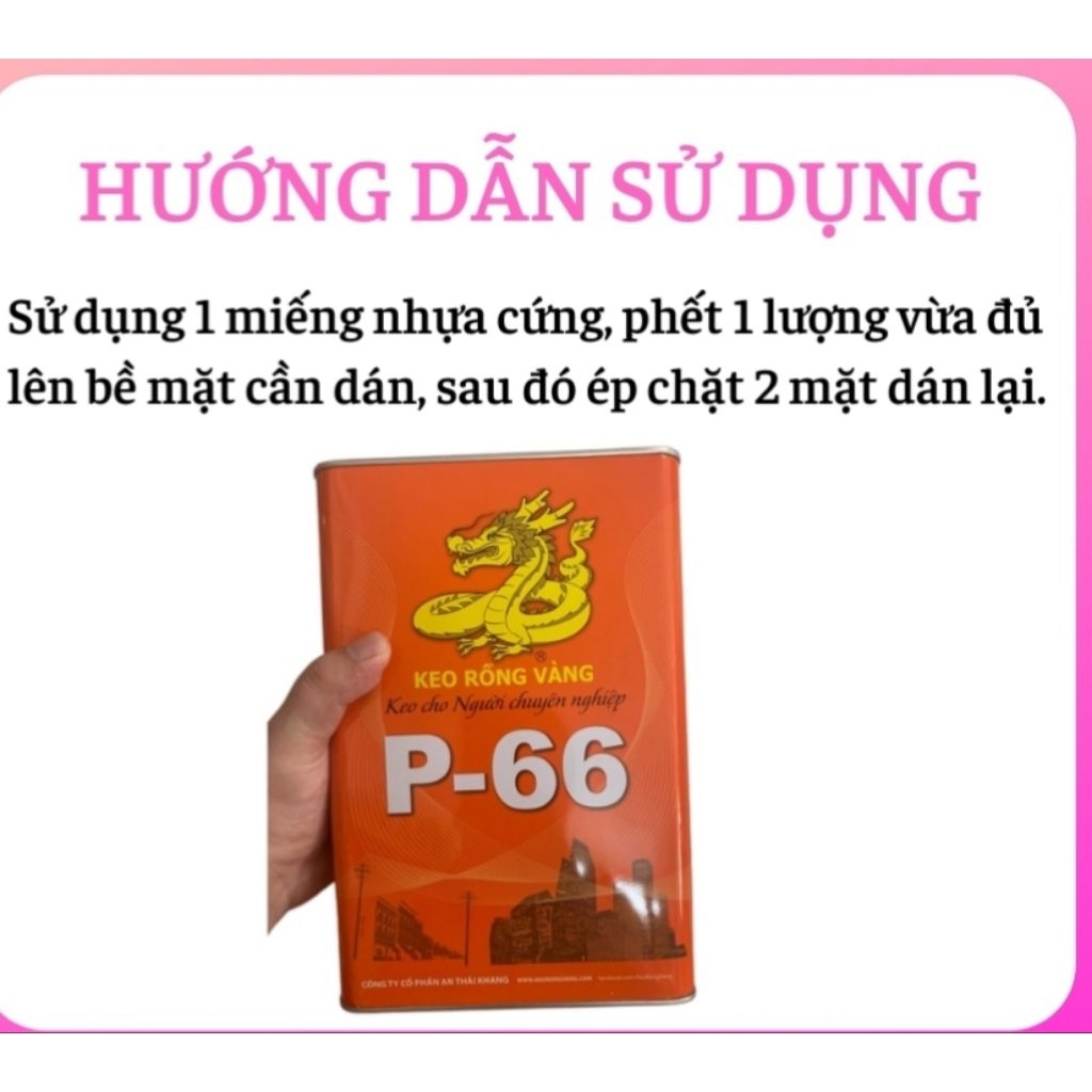 keo P66 rồng vàng