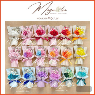   HOẢ TỐC  Bó hoa khô mini baby cẩm tú cầu cao cấp gói cánh tiên trang trí hộp quà 20 10 và 08 03 giáng sinh 20 11 
