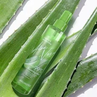 Xịt Khoáng Aspasia Tinh Chất Lô Hội phiên bản mới 200ml