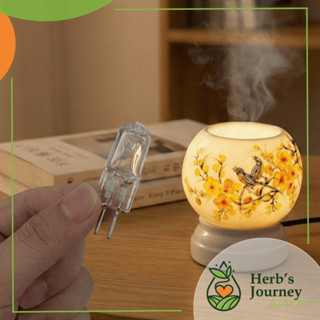  Bóng đèn đèn xông tinh dầu - Phụ kiện thay thế cho đèn xông tinh dầu gốm sứ Bát Tràng 