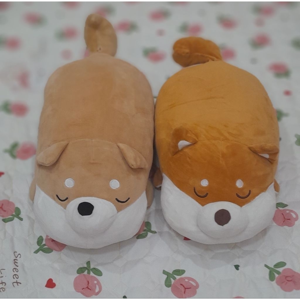 Gấu bông chó Shiba chất Miniso.