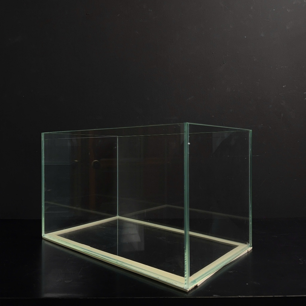 (HCM)BỂ CÁ MINI 50X30X30 HỒ KÍNH SIÊU TRONG KÍNH 8MM MÀI FULL CẠNH VI TÍNH - BẢO HÀNH BỂ VỠ DO VẬN C