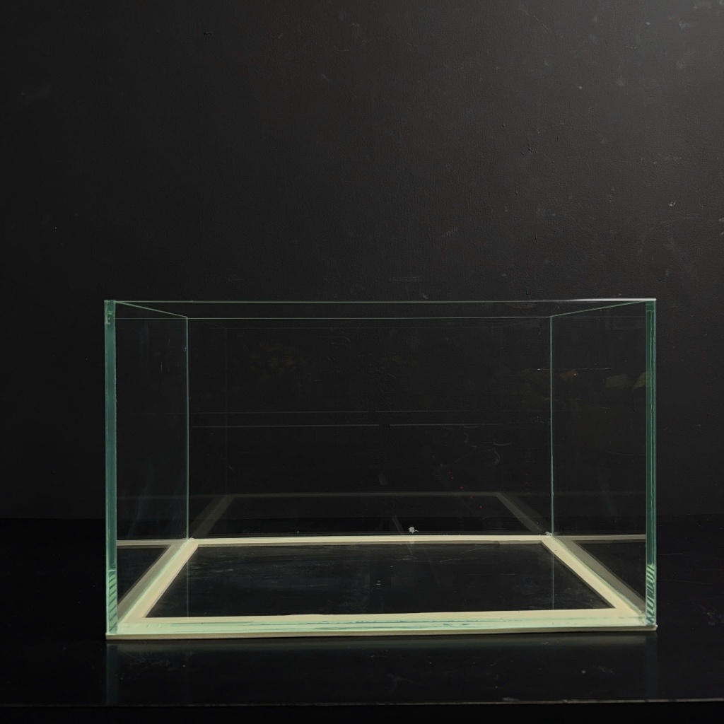 (2H-HCM) BỂ CÁ MINI 50X30X30 HỒ KÍNH SIÊU TRONG KÍNH 8MM MÀI FULL CẠNH VI TÍNH - BẢO HÀNH BỂ VỠ DO V