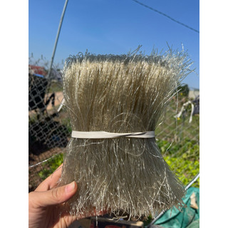 1kg miến dong sợi rút loại ngon