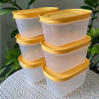  Bộ Hộp Tupperware Trữ Đông Mini Freezermate Gen II 170ml - Nhựa Thân Trong Bông Tuyết 