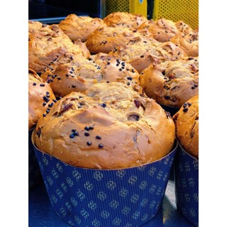  FESTIVE CHOCOLATE PANETTONE - PHIÊN BẢN NOEL 