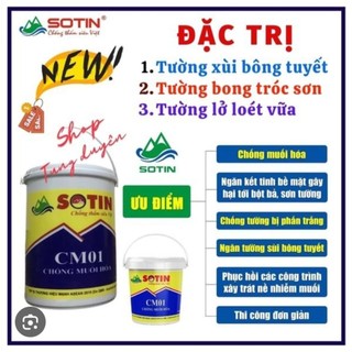 Chống muối hóa CM01 SOTIN
