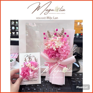   HOẢ tỐC  Bó hoa khô mini Multicolor handmade quà tặng hộp quà phụ kiện chụp ảnh sản phẩm độc đáo 