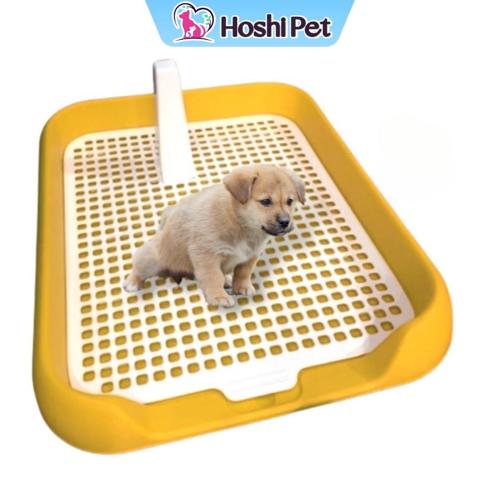 Khay vệ sinh cho chó nhỏ thành thấp Hoshi Pet KC06 - Khay đái cho chó