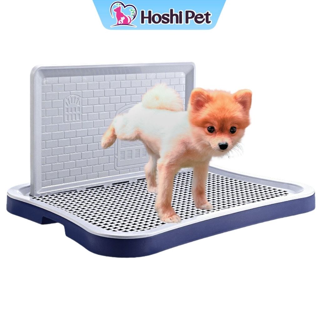 Khay vệ sinh cho chó lớn Hoshi Pet KC02 hướng dẫn chó đi vệ sinh