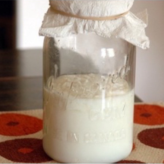 Nấm Kefir Làm Sữa Chua. Nấm Tây Tạng, Con Men Làm Sữa Chua