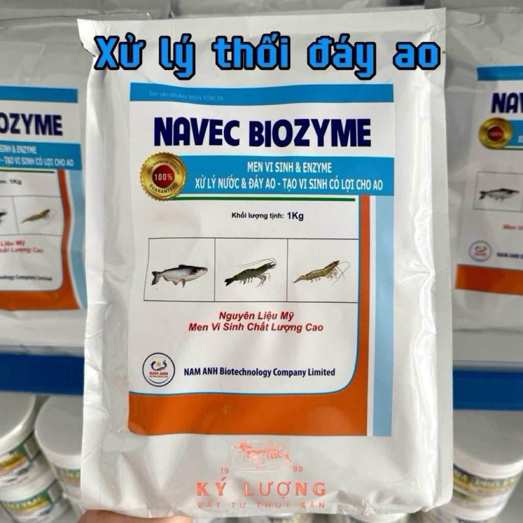 Men vi sinh & Enzyme_ Xử lý nước và đáy ao, tạo vi sinh có lợi cho ao
