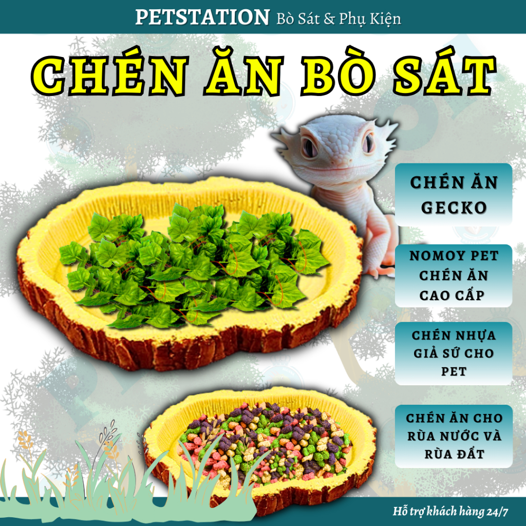 Chén Ăn Cao Cấp Cho Bò Sát Nomoy Pet — Nhựa Đặc Giả Sứ, Bền & An Toàn, Dùng Cho Rùa, Iguana