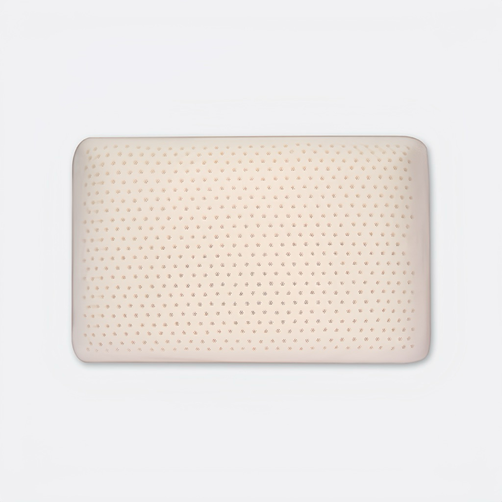 [Ruột gối Everon] Ruột gối Latex