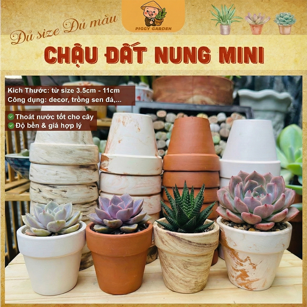 Chậu Đất Nung Trồng Sen Đá, Xương Rồng, Bonsai Mini - Cây Để Bàn - Kích Thước Nhiều Size Và Màu