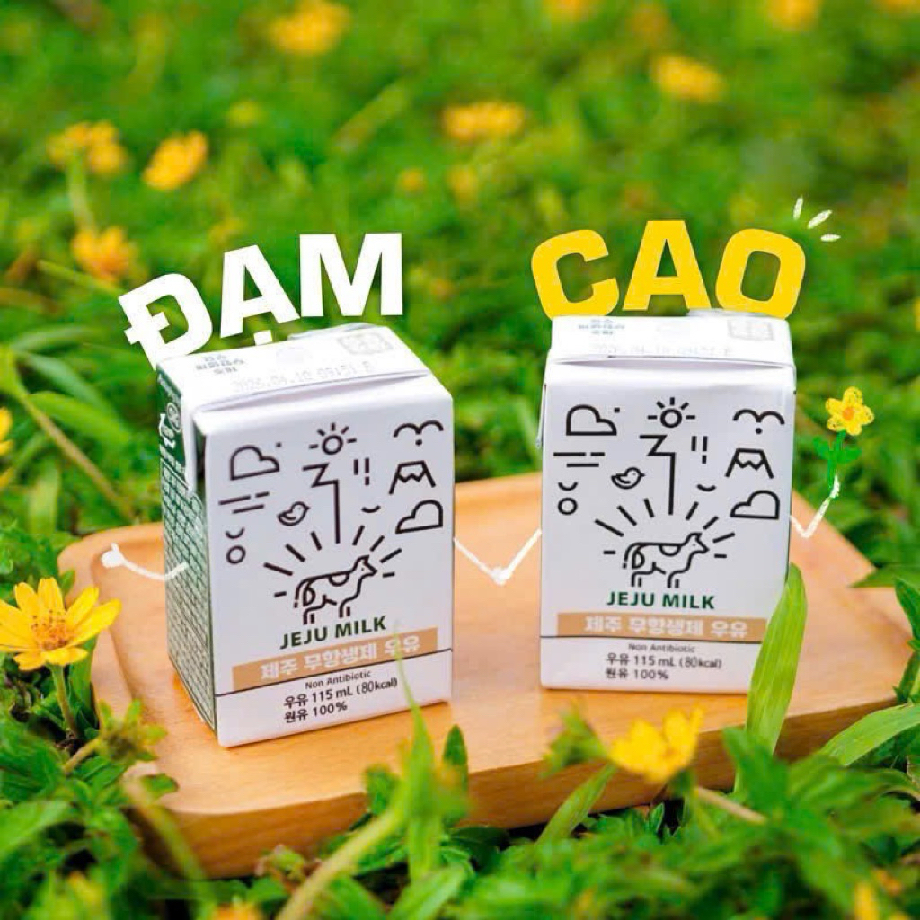 [Hàng Air] Sữa tươi không kháng sinh Jeju milk 115ml canxi cao