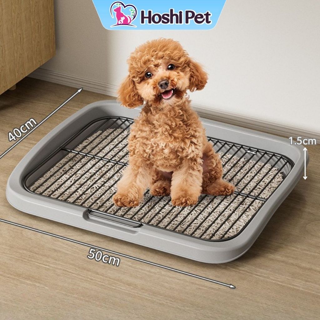 Khay Vệ Sinh Chó Có Miếng Lót Sắt Size Lớn Sạch Sẽ Hoshi Pet KC10