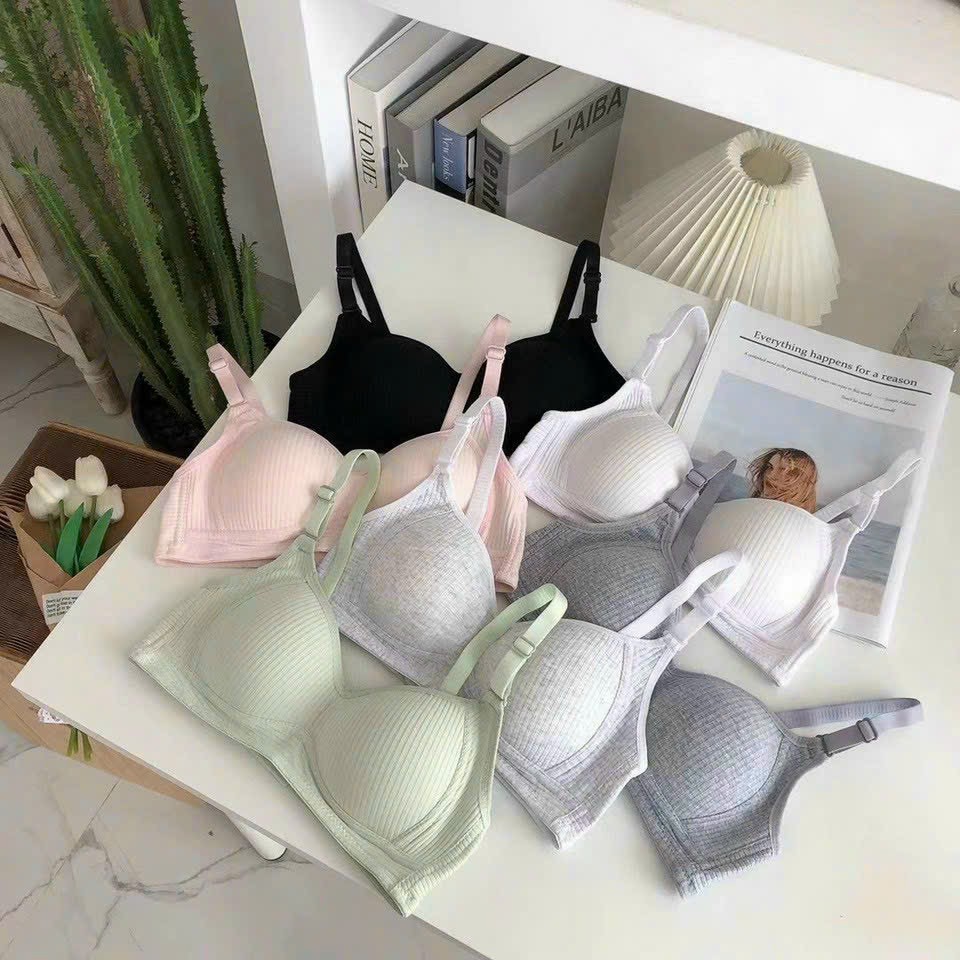 CHỌN TĂNG SIZE Áo Lót Cotton Học Sinh Mút Mỏng Không Gọng Mã A11