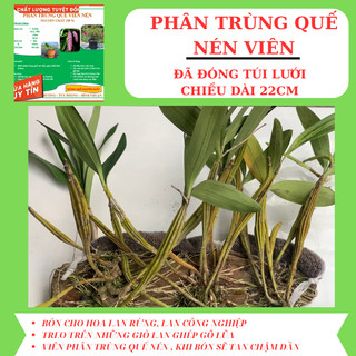 Phân trùng quế viên nén viên bón hoa lan, hoa mười giờ, cây cảnh