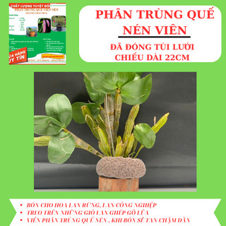 Phân trùng quế viên nén viên bón hoa lan, hoa mười giờ, cây cảnh