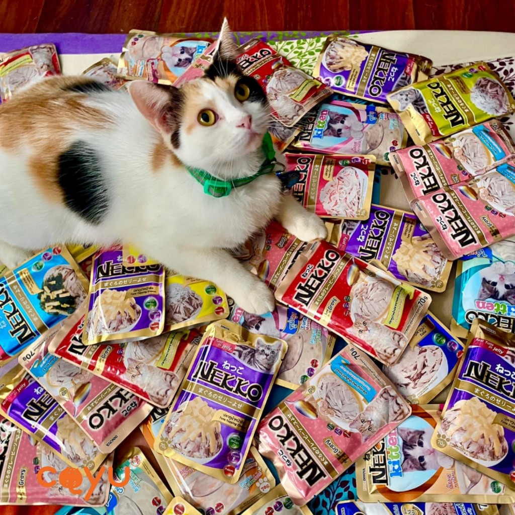 [Hoả Tốc] - Nekko Senior 70G - Pate Thức Ăn Ướt Cho Mèo - Hàng Thái Cao Cấp - Date 2027 - Coyu