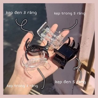 [Peinn] Kẹp tóc càng cua nhám
