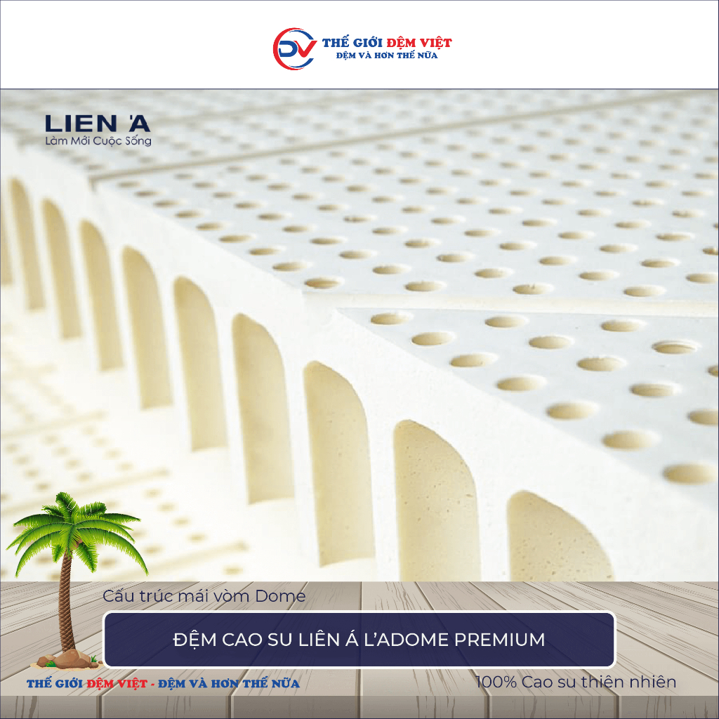 [FREE SHIP ĐIỀU KIỆN] ĐỆM CAO SU LIÊN Á L'ADOME PREMIUM, Dày 15cm - 100% CAO SU THIÊN NHIÊN - HÀNG CHÍNH HÃNG | BigBuy360 - bigbuy360.vn