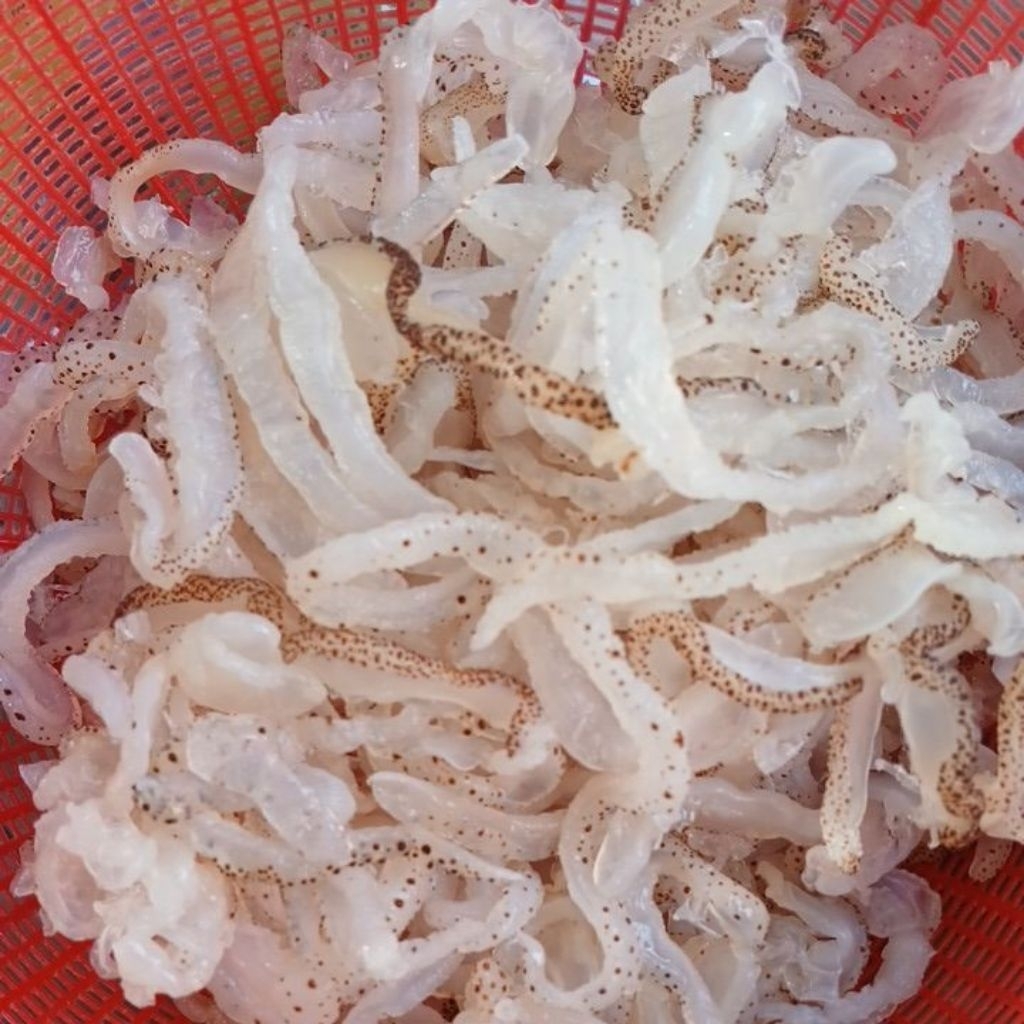 Sứa biển khô loại mặn, gói 700 _900g không tính nước (không mác)làm nộm sứa, lẩu sứa, gỏi sứa, sứa x