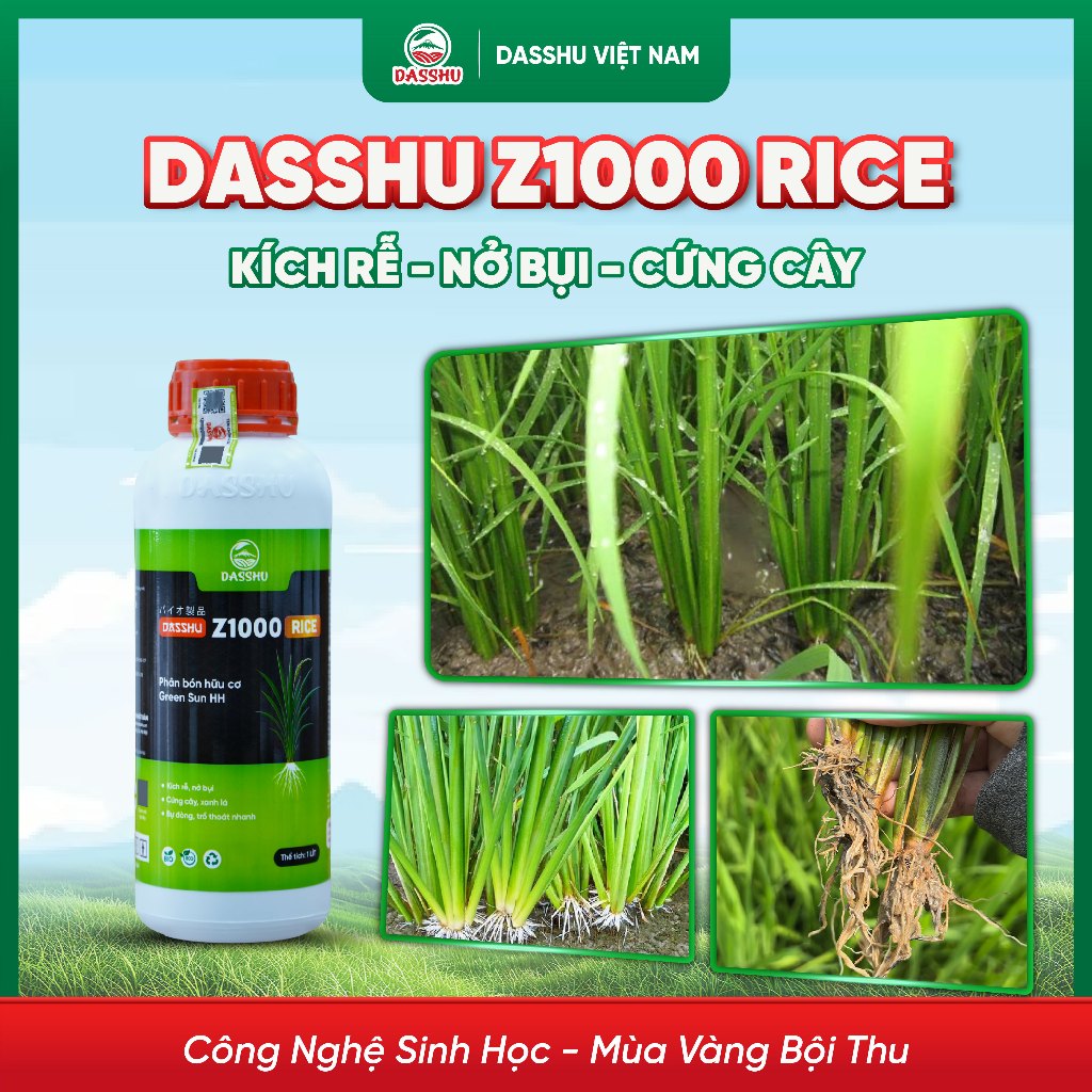 DASSHU Z1000 RICE - Kích Rễ Mạnh, Bung Chồi Khỏe, Dưỡng Hạt Đẹp Sáng Bóng