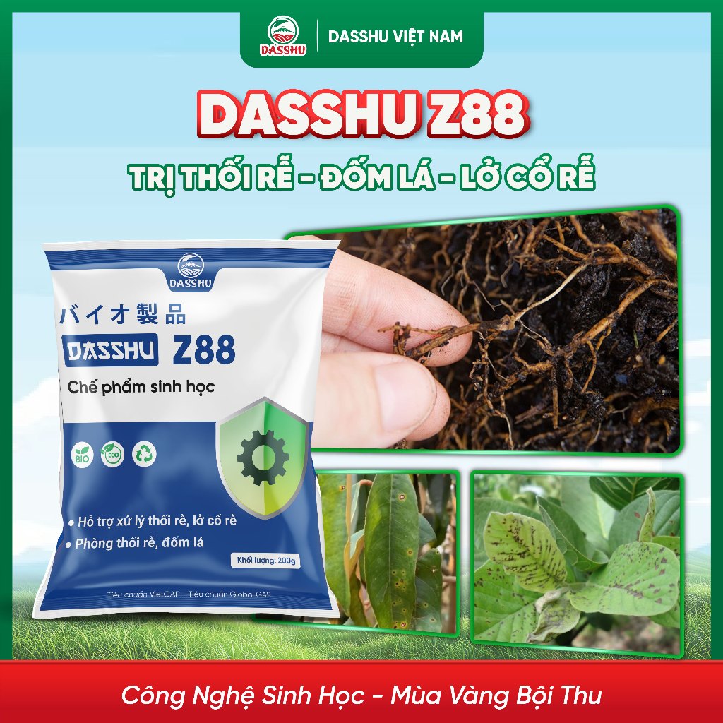DASSHU Z88 - Phân Bón Sinh Học giúp Trị Thối Rễ, Phòng Vàng Lá Tăng Sức Đề Kháng Cho cây
