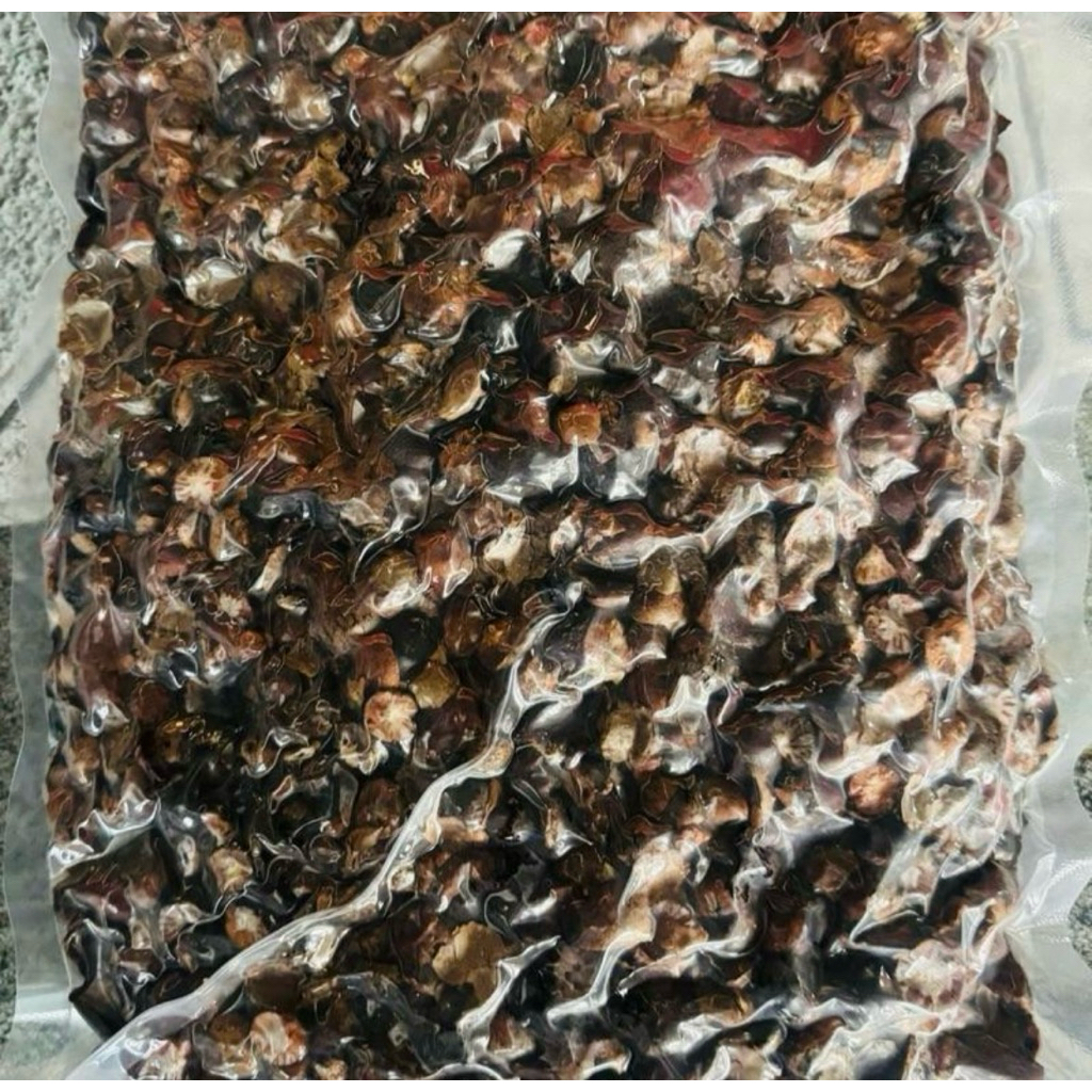 ĐỦNG ĐỈNH KHÔ GIÃ NÁT