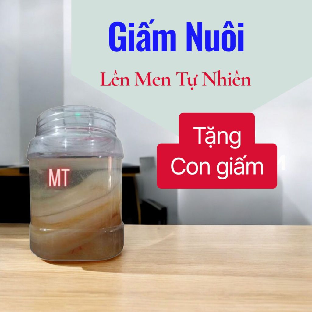 𝐆𝐢𝐚̂́𝐦 Nuôi + con 𝐆𝐢𝐚̂́𝐦 { tặng CôngThức }