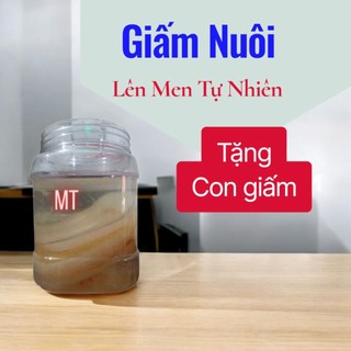 𝐆𝐢𝐚̂́𝐦 Nuôi + con 𝐆𝐢𝐚̂́𝐦 { tặng CôngThức }