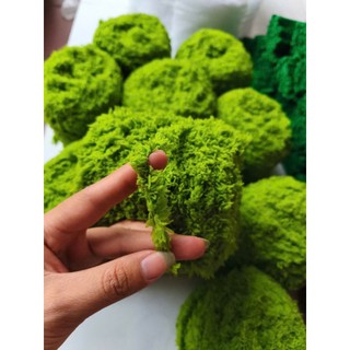 Len Xù Làm Rêu Làm Tuyết Trang Trí Đồ Hanmade Tiện Lợi