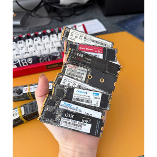  Ổ cứng Ssd M2 sata 256Gb cài sẵn win 11 kèm Office tháo máy sức khoẻ trên 90%  giao hãng ngẫu nhiên   