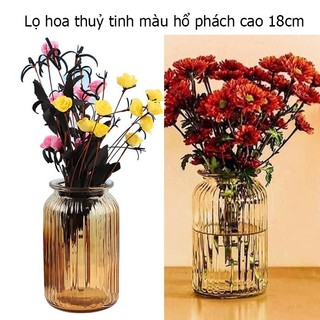 (Xả kho) Set 03 Bình hoa thủy tinh màu hổ phách sang trọng bình hoa phong cách vintage cao 18cm