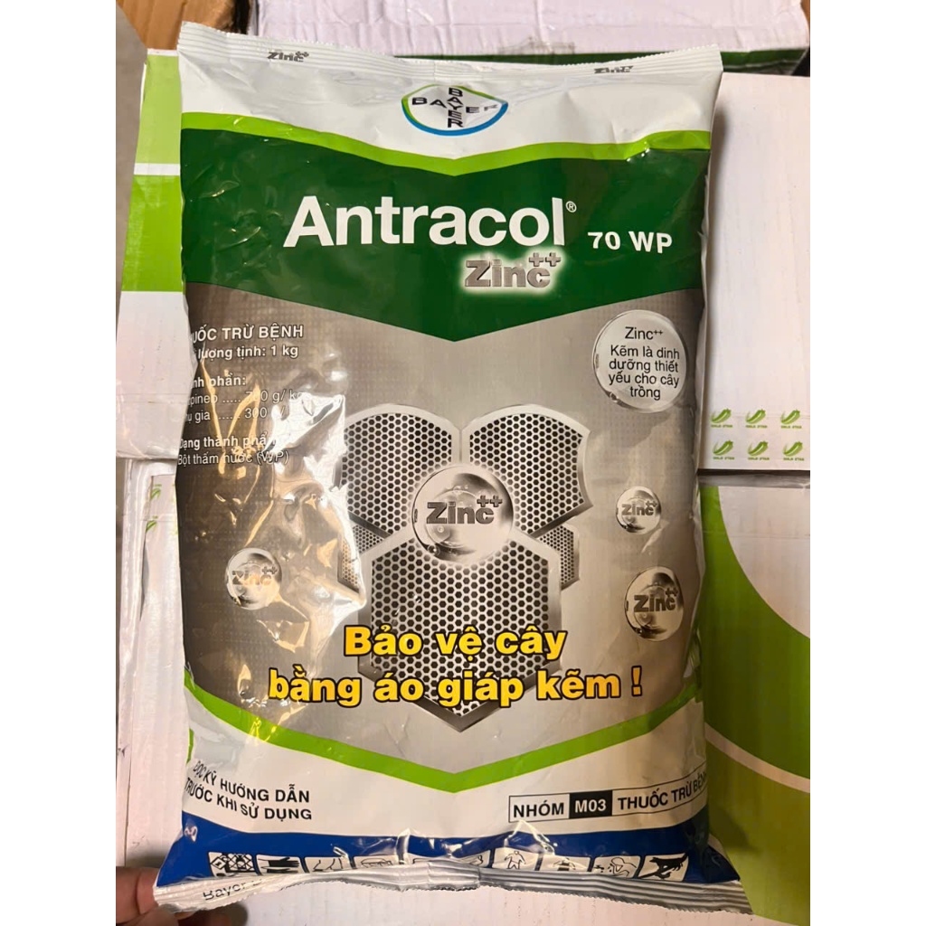 PHÒNG NGỪA NẤM BỆNH ANTRACOL 70WP GÓI  1KG CHÍNH HÃNG BAYER