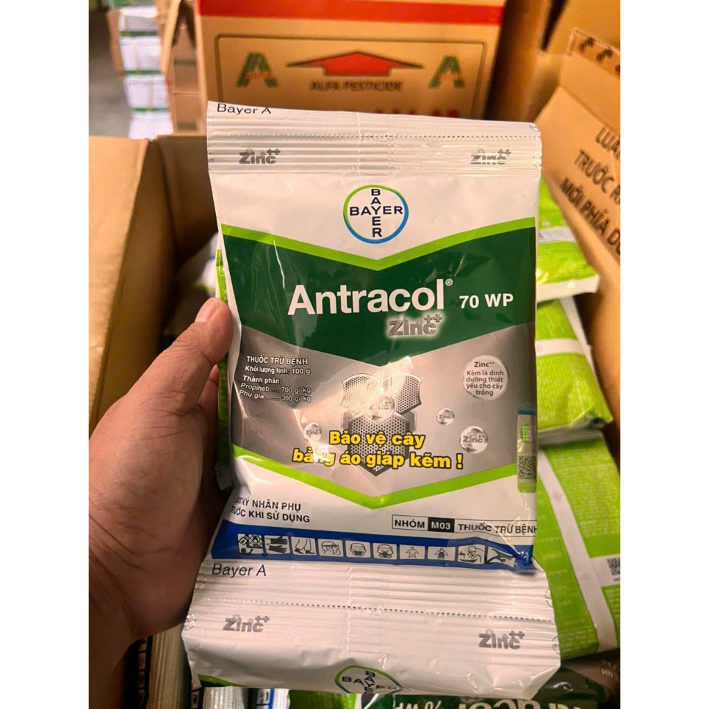 PHÒNG NGỪA NẤM BỆNH ANTRACOL 700WP GÓI 100 GRAM CHÍNH HÃNG BAYER