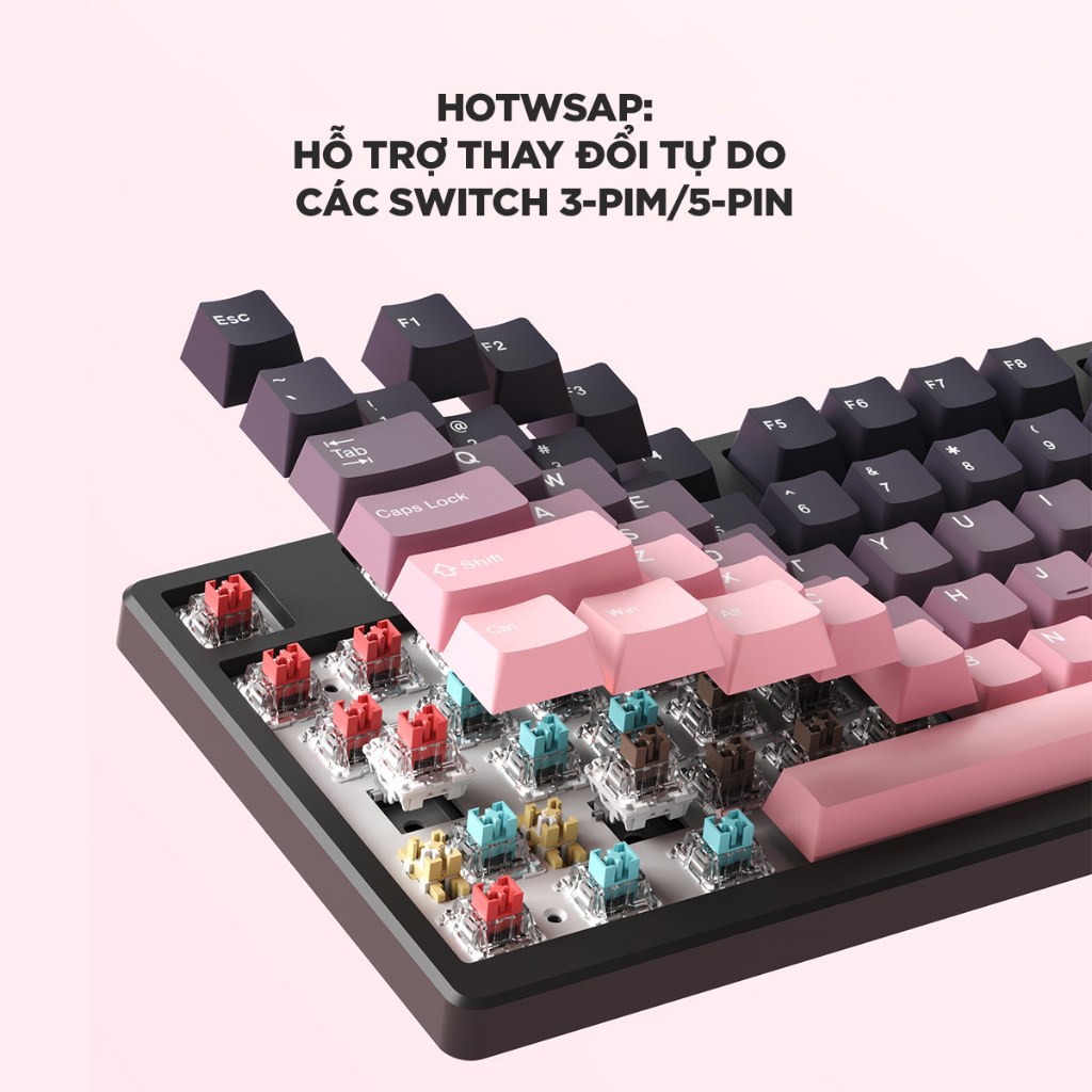 Bàn phím cơ không dây k81pro LED RGB HOTSWAP K81/87 phím kết nối 3 meod Có dây/ không dây 2.4G/Bluetooth Kết nối PC/iPad | BigBuy360 - bigbuy360.vn