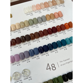 Set sơn OL.VN 48 màu kèm bảng xịn chất sơn đặc mịn mướt