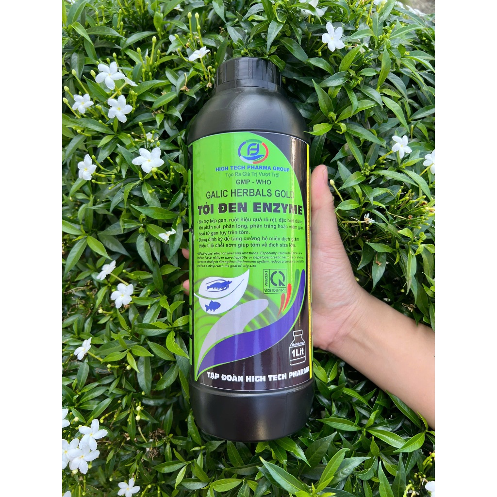 CAO TỎI ĐEN - GALIC HERBALS GOLD- Hightechpharma.Tỏi đen enzyme bổ trợ kép gan ruột.Tăng cường hệ mi