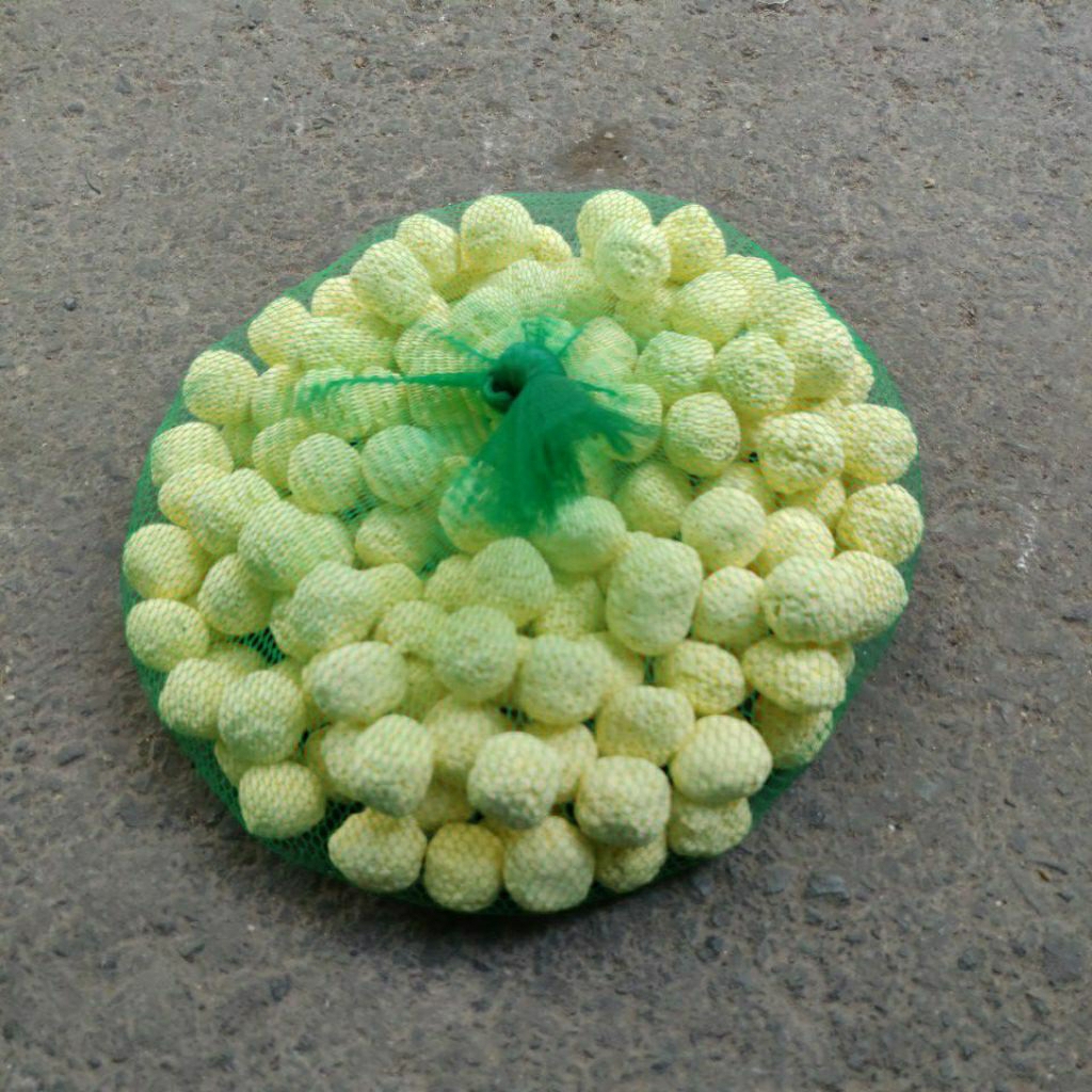 sứ bi - sứ viên  lọc nước hồ cá