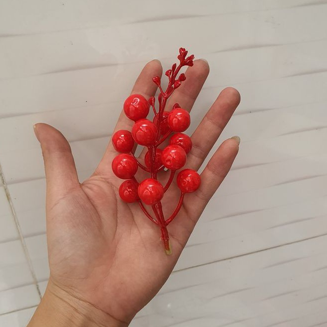 Đào đông đỏ có ngọn - 10 chùm/ 50 chùm