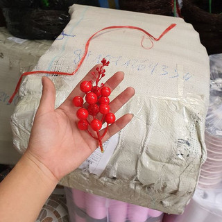 Đào đông đỏ có ngọn - 10 chùm/ 50 chùm