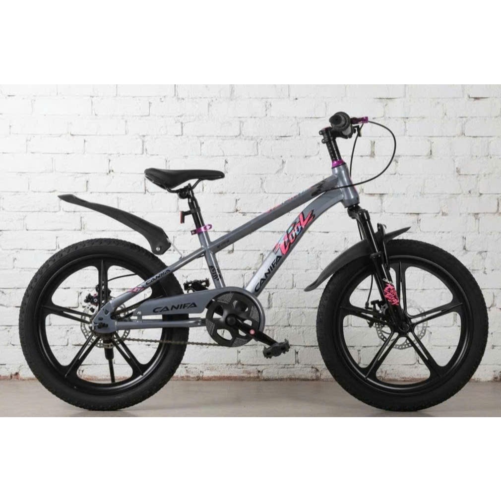 XE ĐẠP THỂ THAO CANIFA, BORKI BÁNH ĐÚC 2 PHANH ĐĨA  SIZE 18-20-22- HÀNG NHẬP KHẨU CHÍNH HÃNG