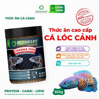  Thức ăn Cá Lóc Cảnh GREENABC - Channa Fish - Protein 40 tăng trưởng nhanh lên màu đẹp - Hộp 350g 
