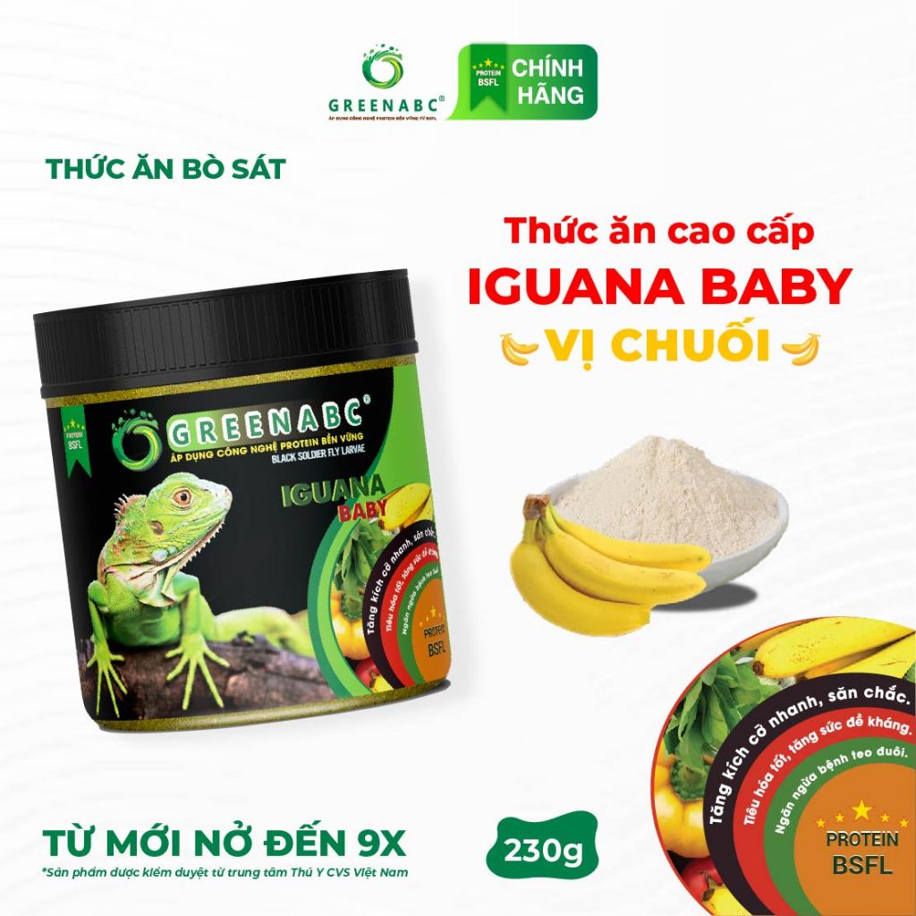 Thức ăn IGUANA BABY Vị Chuối GREENABC. Dành cho Igu từ mới nở cho đến 9x, tăng size, màu đẹp – Hộp 2