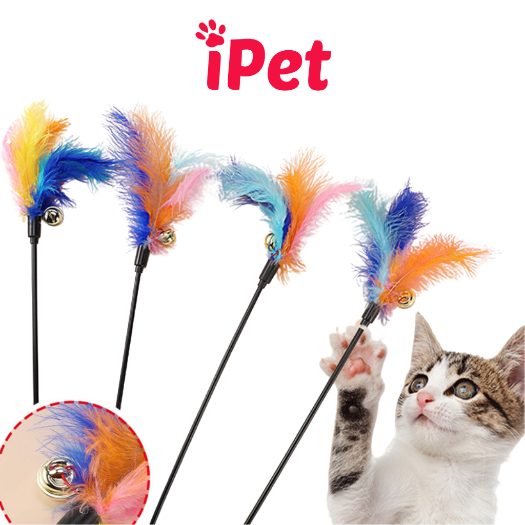Đồ Chơi Cây Trêu Lông Vũ Cho Mèo Đuổi Bắt - iPet Shop